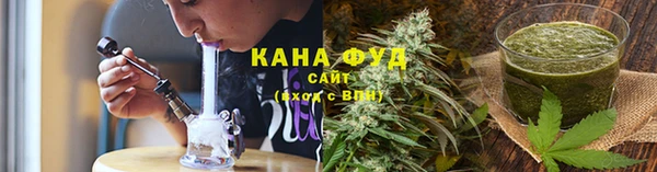 мдпв Гусев