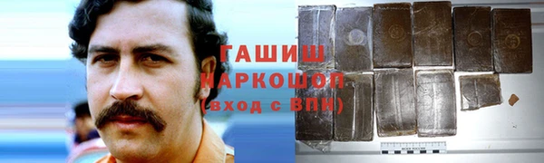 мдпв Гусев