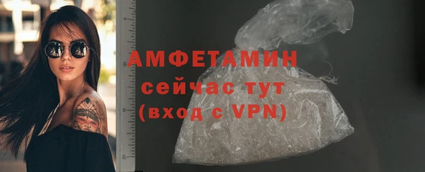 мдпв Гусев