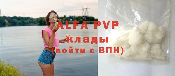 мдпв Гусев