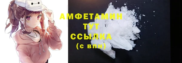 мдпв Гусев