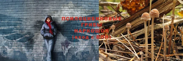 таблы Гусиноозёрск