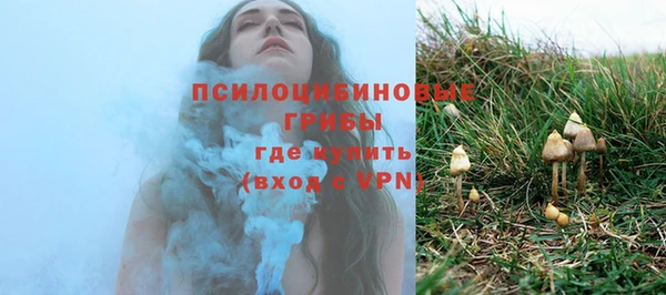мдпв Гусев