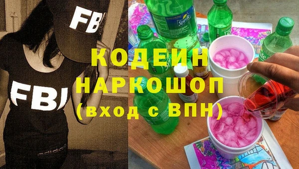 мдпв Гусев