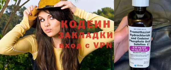 мдпв Гусев