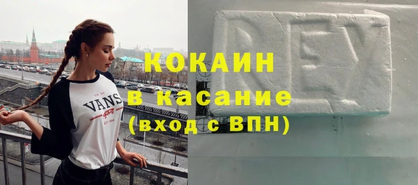 мдпв Гусев